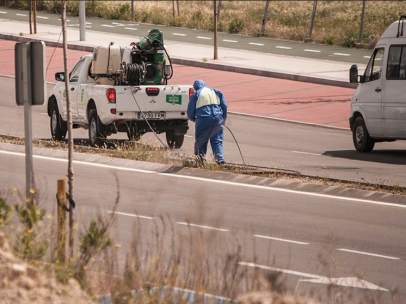Operarios fumigando una calzada