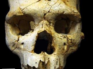 Cráneo del primer asesinado de la historia