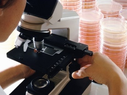 Bioquímica en un laboratorio