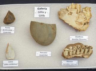 Atapuerca desentierra restos de restos de homínimos de más de 400.000 años