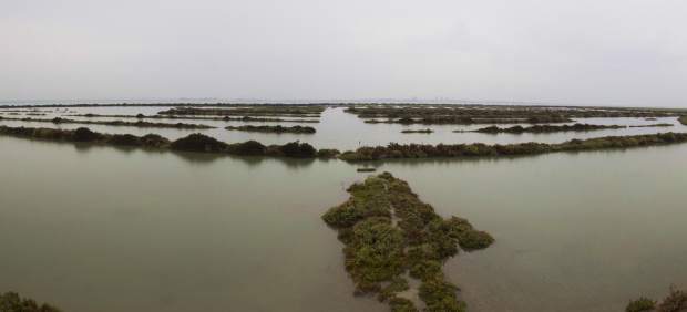 Antigua salina de La Covacha, en Cádiz 