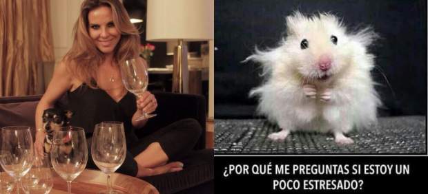 Del Castillo bromea sobre su estrés tras la polémica por su relación con 'El Chapo' Guzmán