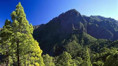 La Palma