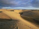Dunas de Maspalomas Dunas de Maspalomas