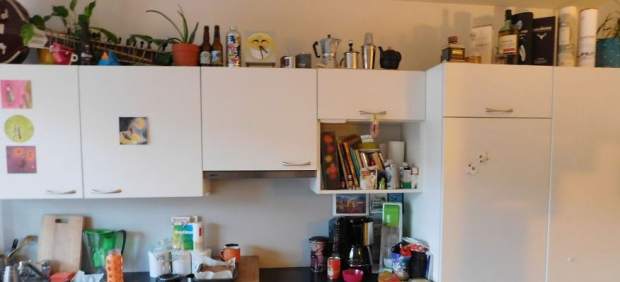 ¿Dónde está el gato?