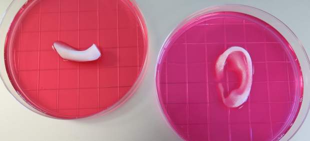 Tejido fabricado con una impresora 3D