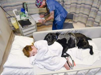 Perro de asistencia para un niño con autismo