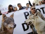 Manifestación por la protección del lobo ibérico Manifestación por la protección del lobo ibérico
