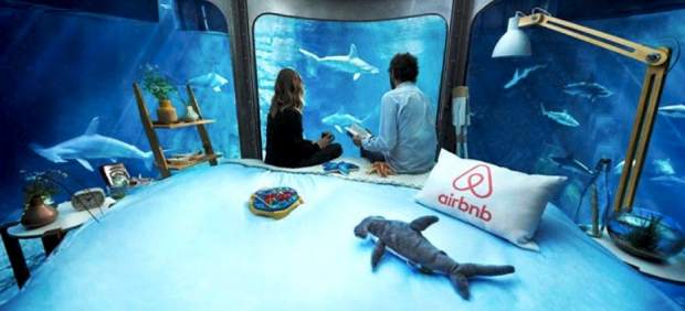 Durmiendo entre tiburones: el acuario de París alberga la primera habitación bajo el agua