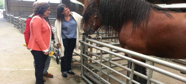 La candidata de PP-Foro visita concurso equino de Siero