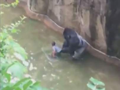 Gorila y niño