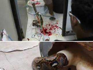 Una serpiente muerde el pene de un hombre en el váter