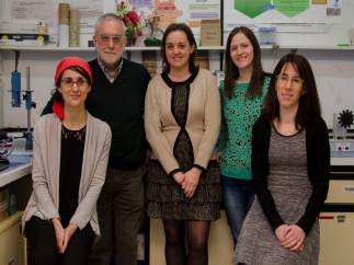 Equipo de investigación