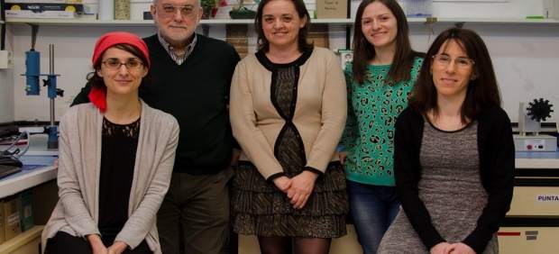 Equipo de investigación