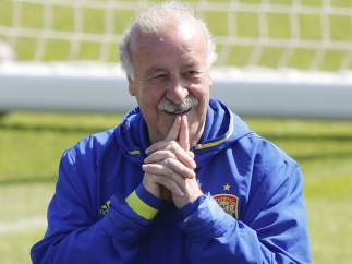 Vicente del Bosque