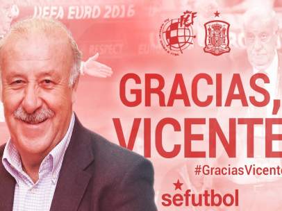 Del Bosque abandona la selección