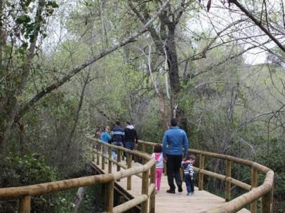 Sendero en Doñana.