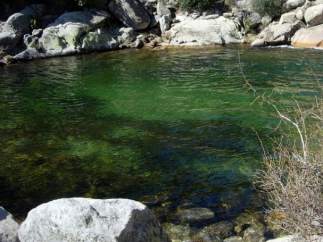 La Charca Verde