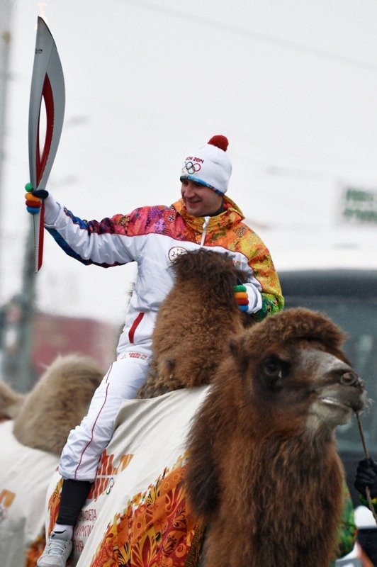 El camello Barsik transporta la Antorcha Olímpica por Cheliabinsk