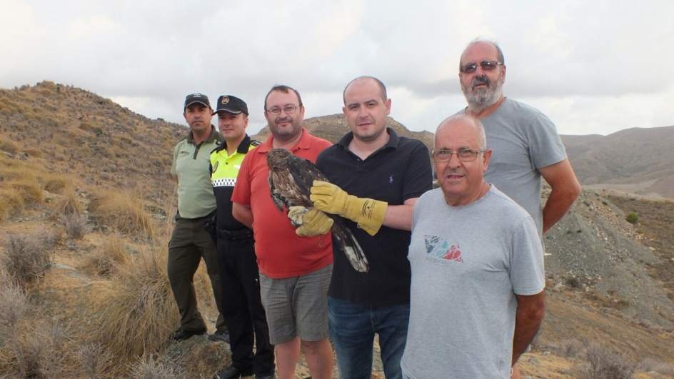 Agentes de Medio Ambiente de Almería trasladan y liberan ejemplar de Aguila perdicera en Sierra Lisbona Agentes de Medio Ambiente de Almería trasladan y liberan ejemplar de Aguila perdicera en Sierra Lisbona
