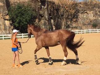 Adelinde Cornelissen y su caballo
