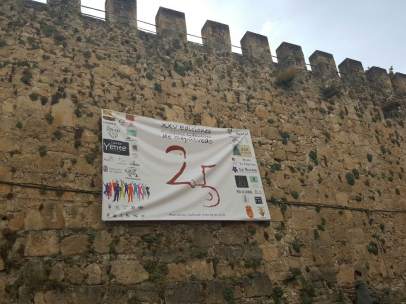 Cartel anunciador dei 25 aniversario de los Encierros Infantiles de Sepúlveda