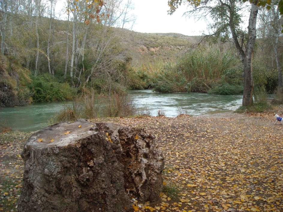 El barco de ávila del dating El barco de ávila del dating