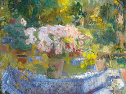 'Patio de la casa Sorolla'