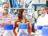 Miembros del equipo investigador sobre el resveratrol