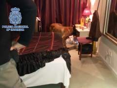torbe con prostitutas videos de prostitutas en españa torbe con prostitutas videos de prostitutas en españa