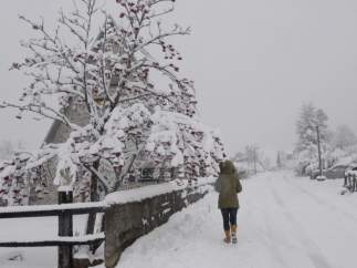Nieve