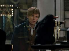 'Animales fantásticos y dónde encontrarlos' es ya un taquillazo