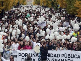 Manifestación en Granada