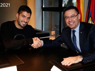 Suárez