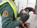 Operación contra las peleas de gallo en Guadassuar Operación contra las peleas de gallo en Guadassuar