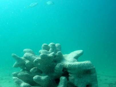 Coral impreso