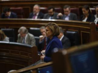 Cospedal, en el Congreso
