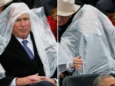 Bush