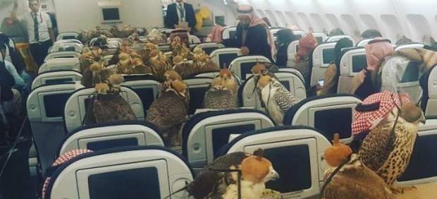 Resultado de imagen para Príncipe árabe compra boletos de avión para sus 80 halcones