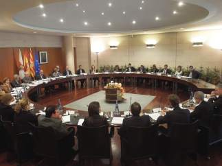 Pleno de la DPH