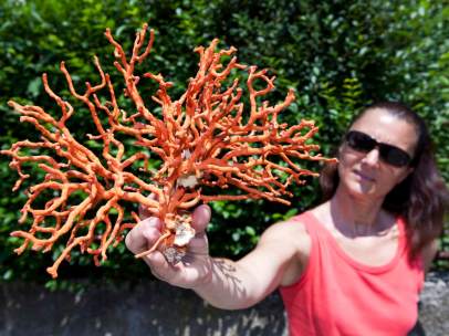 Coral