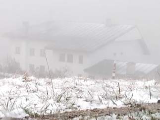 Nieve