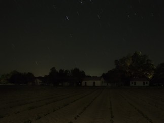 Jeanine Michna-Bales - Stopover. Frogmore Plantation, Concordia Parish, Louisiana, 2014