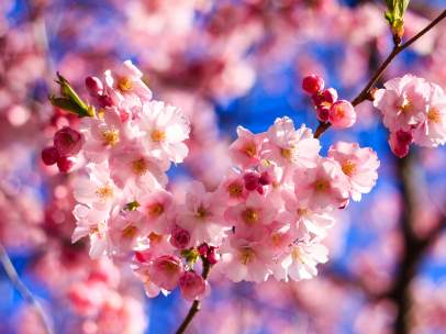 Primer día de la primavera
