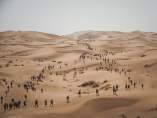 Una panorámica de Sables, una carrera única. Una panorámica de Sables, una carrera única.