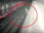 Se tira a las vías del tren Se tira a las vías del tren