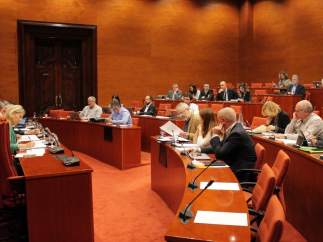 Comisión de Asuntos Institucionales del Parlament