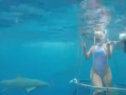 Actriz atacada por un tiburón