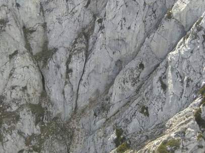 La Collada (Riaño)