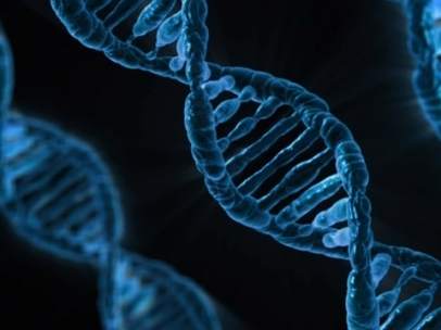 Genes